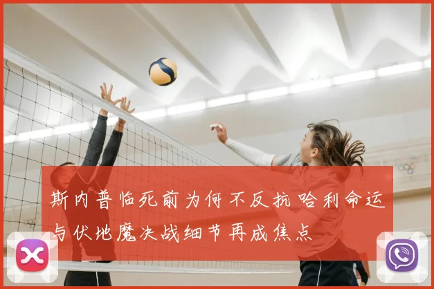 斯内普临死前为何不反抗 哈利命运与伏地魔决战细节再成焦点