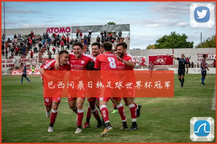 巴西问鼎日韩足球世界杯冠军