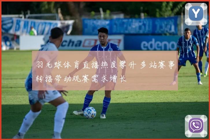 羽毛球体育直播热度攀升 多站赛事转播带动观赛需求增长