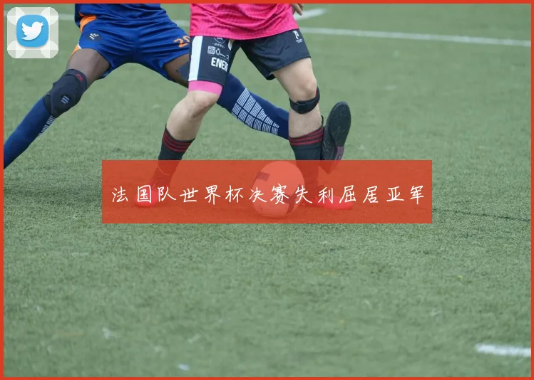 法国队世界杯决赛失利屈居亚军