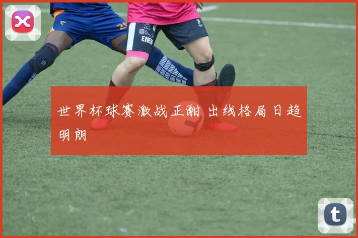 世界杯球赛激战正酣 出线格局日趋明朗