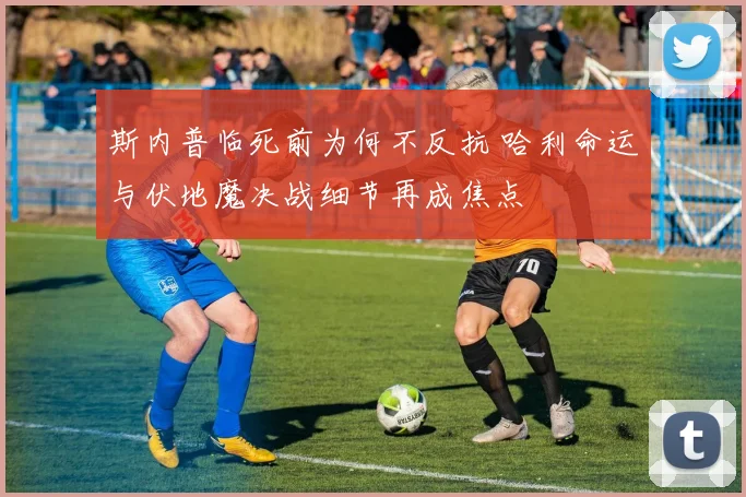 斯内普临死前为何不反抗 哈利命运与伏地魔决战细节再成焦点