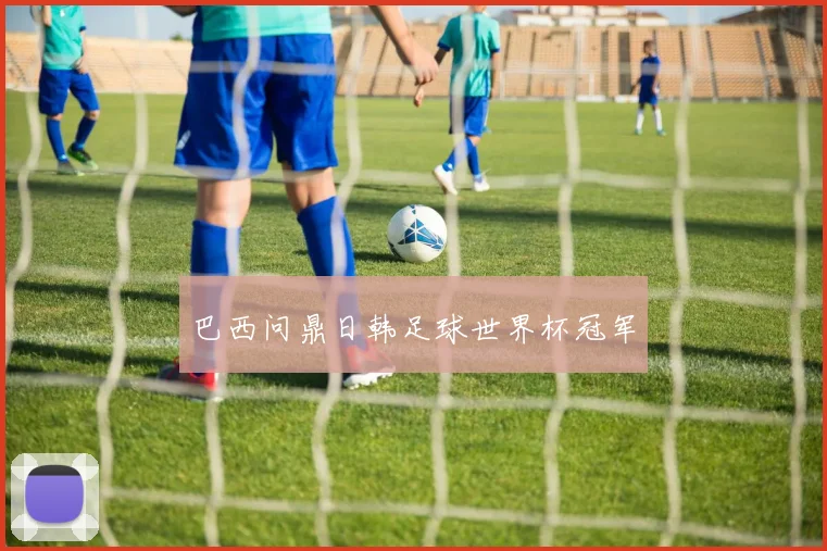 巴西问鼎日韩足球世界杯冠军